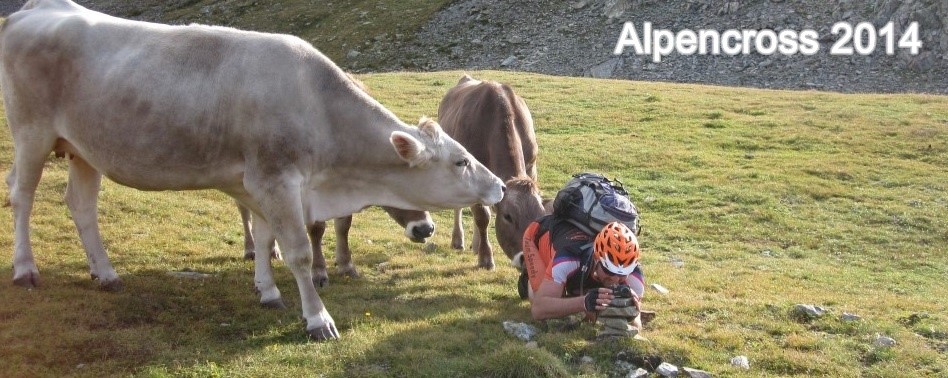Alpencross_2014_07.jpg